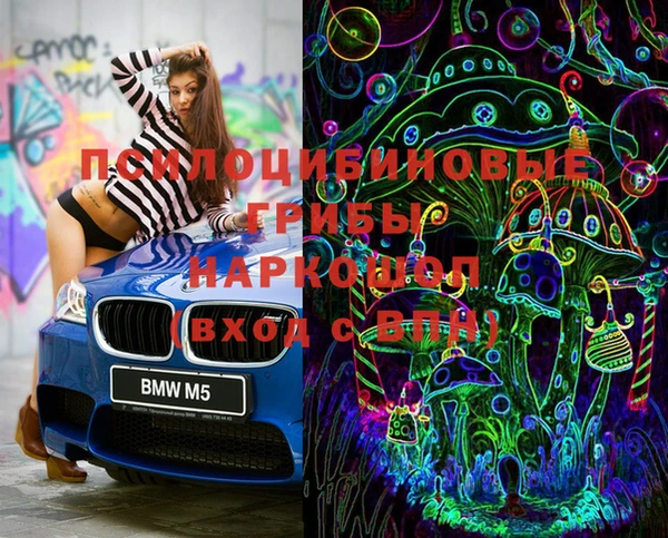 тгк Абаза