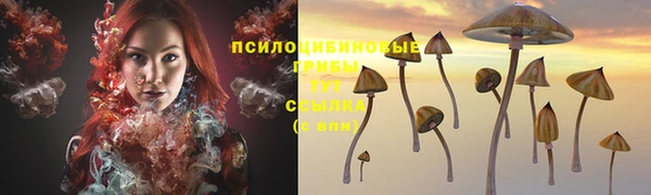 не бодяженный Абинск