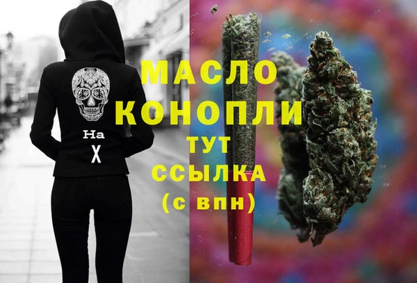 тгк Абаза