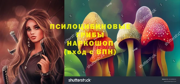 тгк Абаза