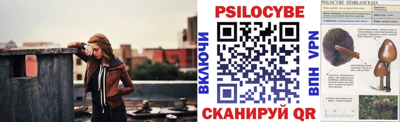 Псилоцибиновые грибы Cubensis  гидра вход  Углегорск 